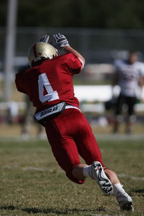 开云体育官方网站登陆-中超球队传球链路密集度评分系统