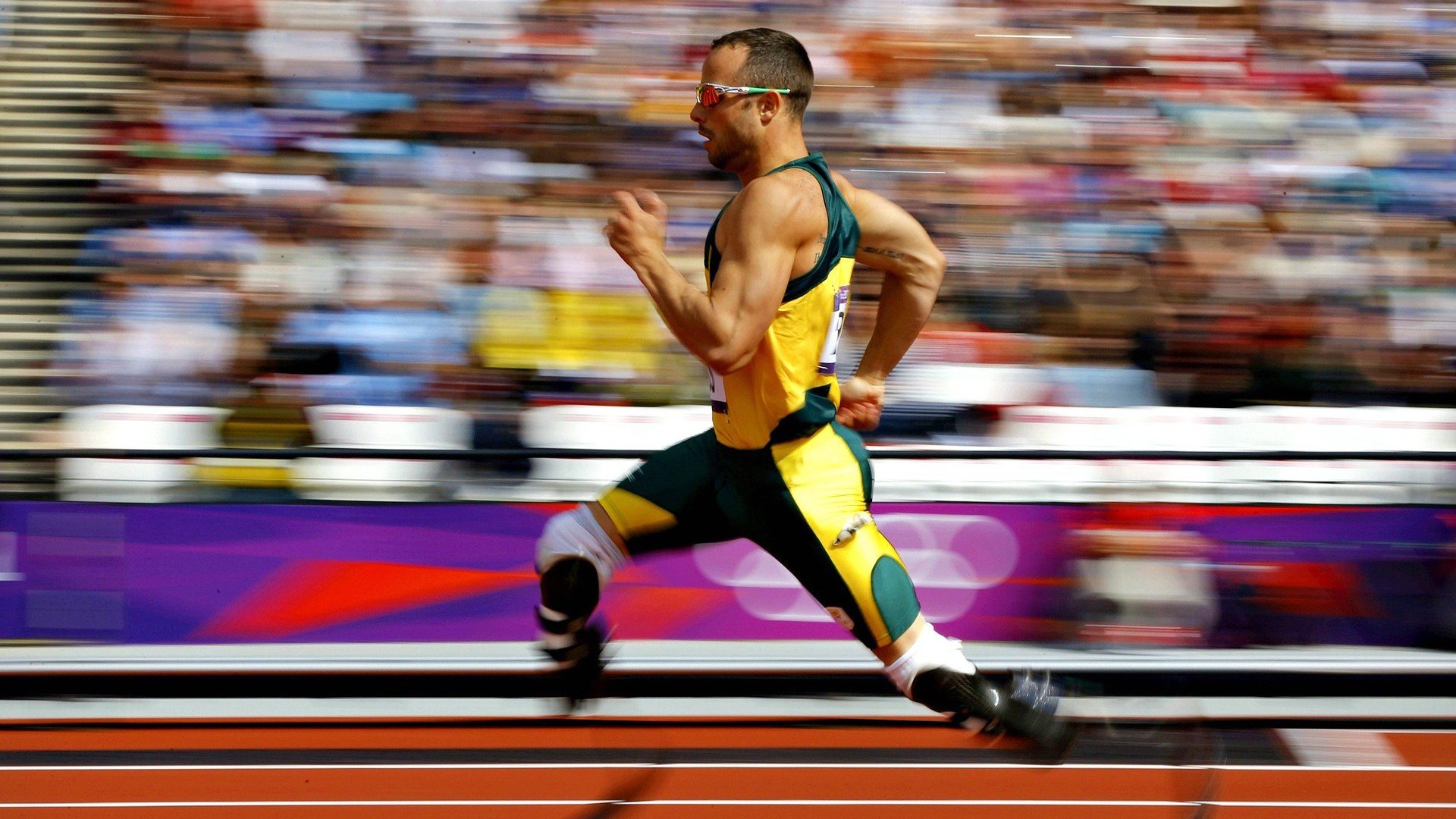 跳水表现突出突尼斯勇闯半决赛，跳水 赛事